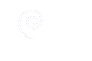 logo-hannaford